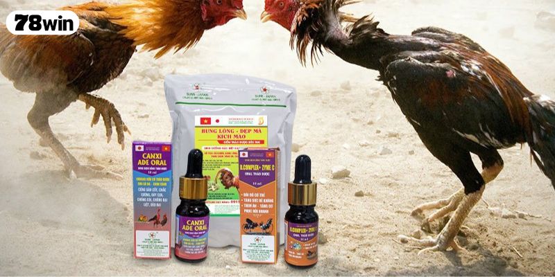 Giới thiệu tổng quan về thuốc nuôi gà đá